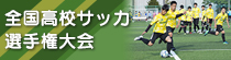 全国高校サッカー選手権大会