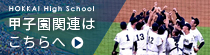 甲子園関連